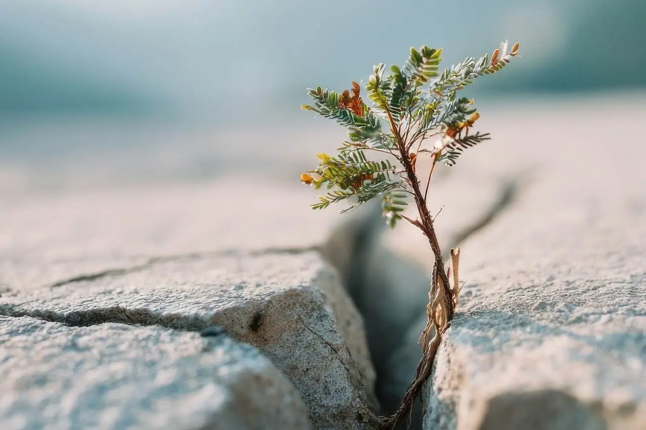 resiliencia_como superar desafios